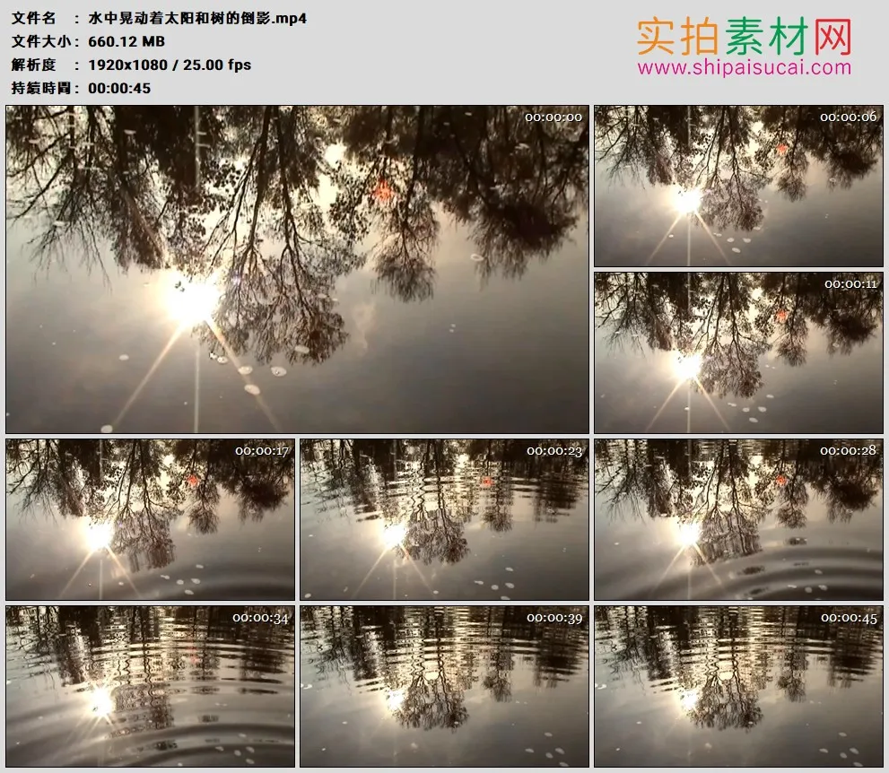 高清实拍视频素材丨水中晃动着太阳和树的倒影
