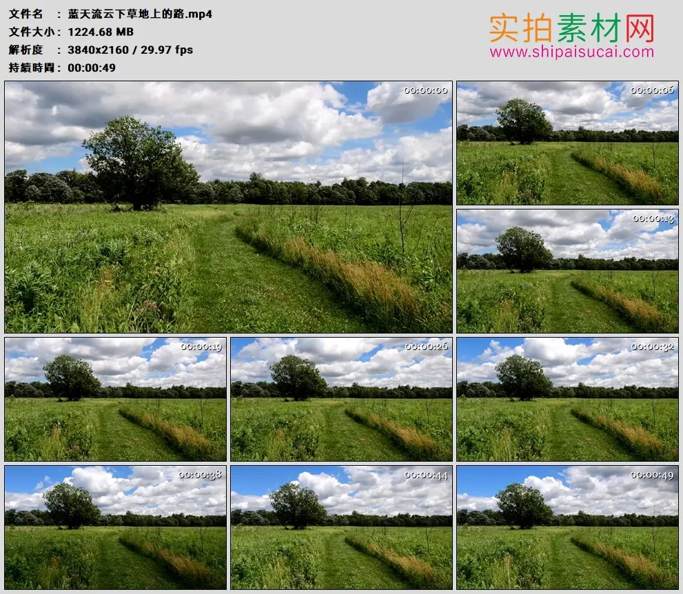 4K高清实拍视频素材丨蓝天流云下草地上的路