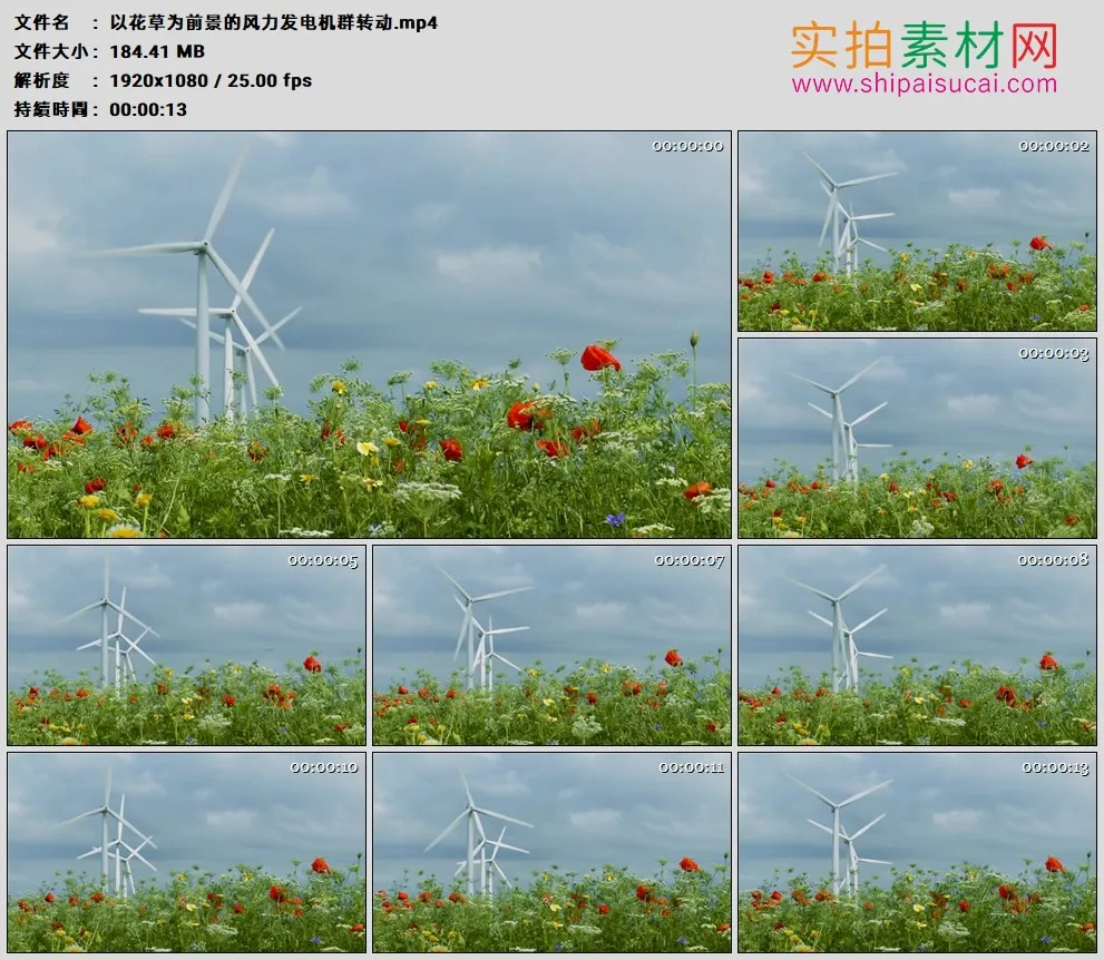 高清实拍视频素材丨以花草为前景的风力发电机群转动