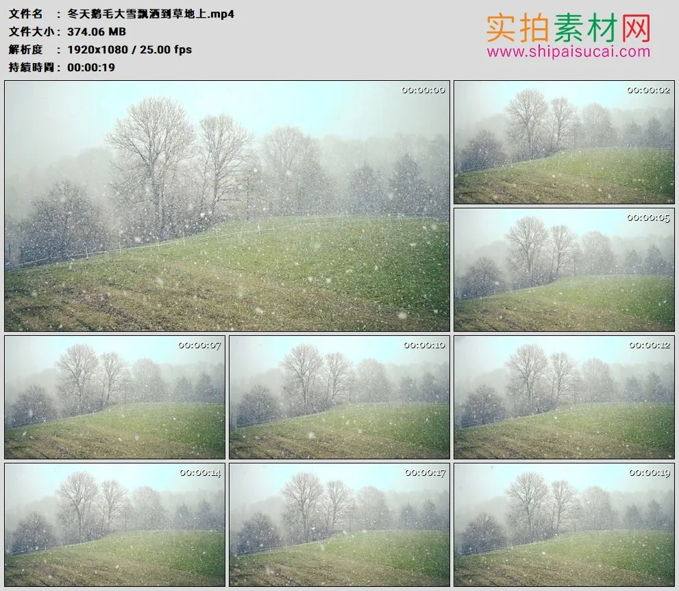 高清实拍视频素材丨冬天鹅毛大雪飘洒到草地上