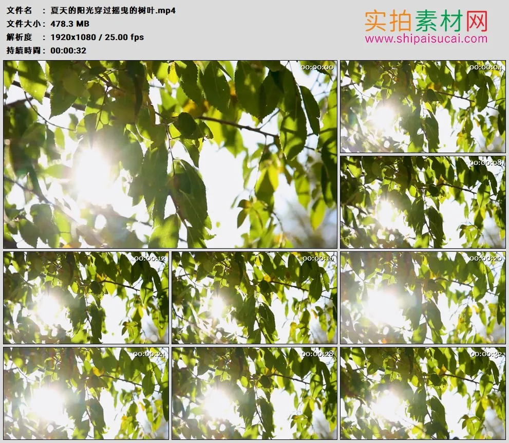 高清实拍视频素材丨夏天的阳光穿过摇曳的树叶