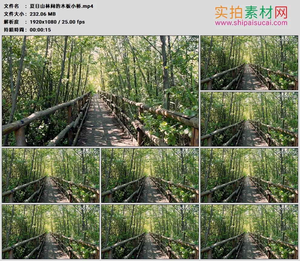 高清实拍视频素材丨夏日山林间的木板小桥