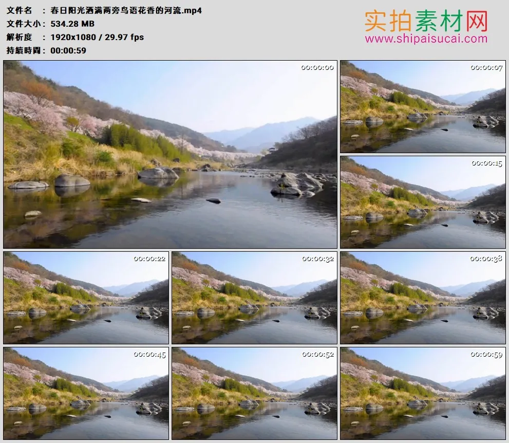 高清实拍视频素材丨春日阳光洒满两旁鸟语花香的河流