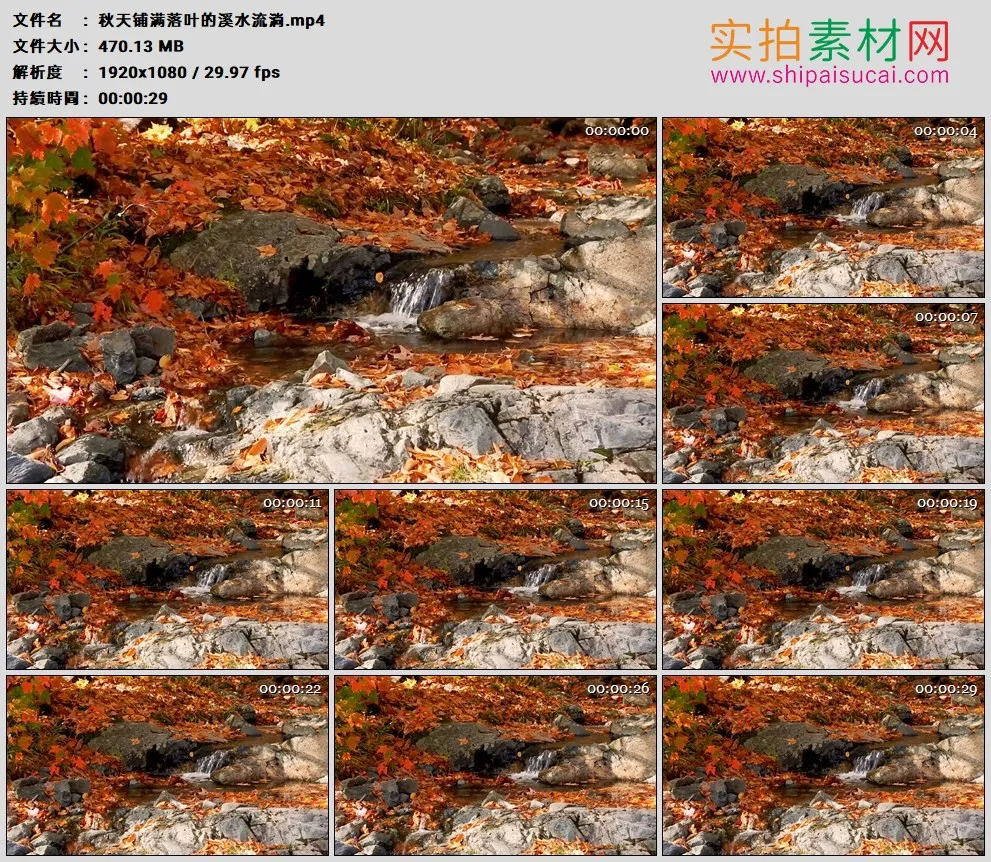 高清实拍视频素材丨秋天铺满落叶的溪水流淌