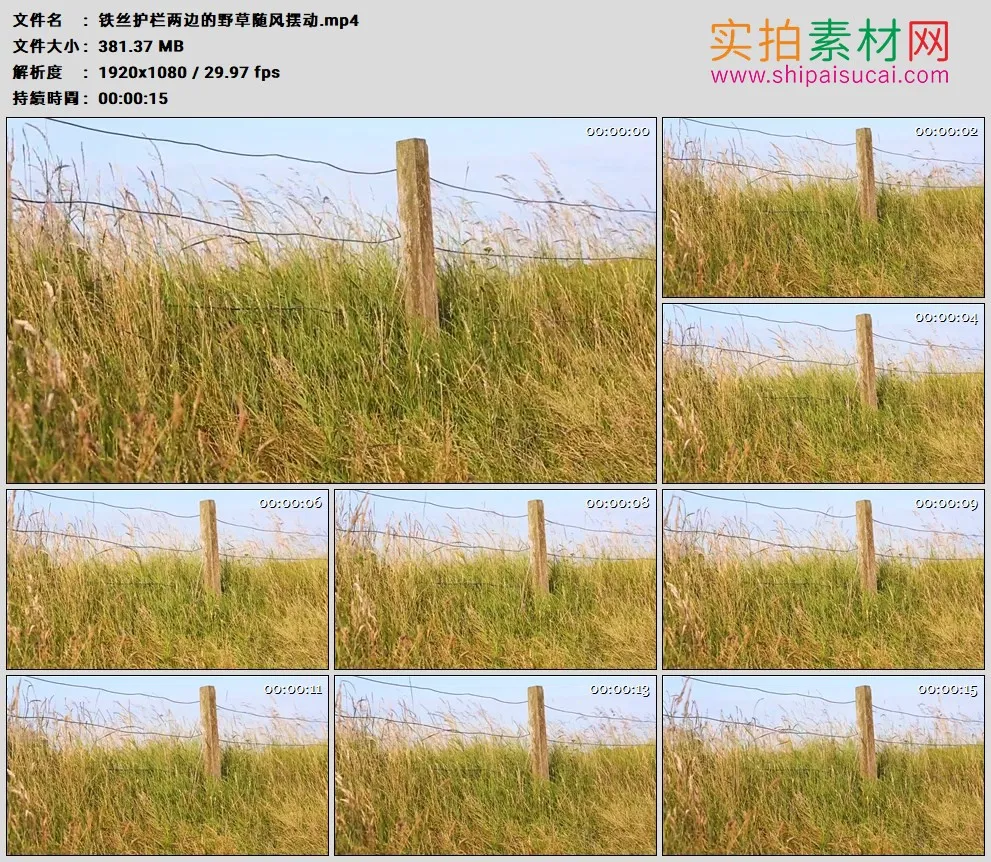 高清实拍视频素材丨铁丝护栏两边的野草随风摆动