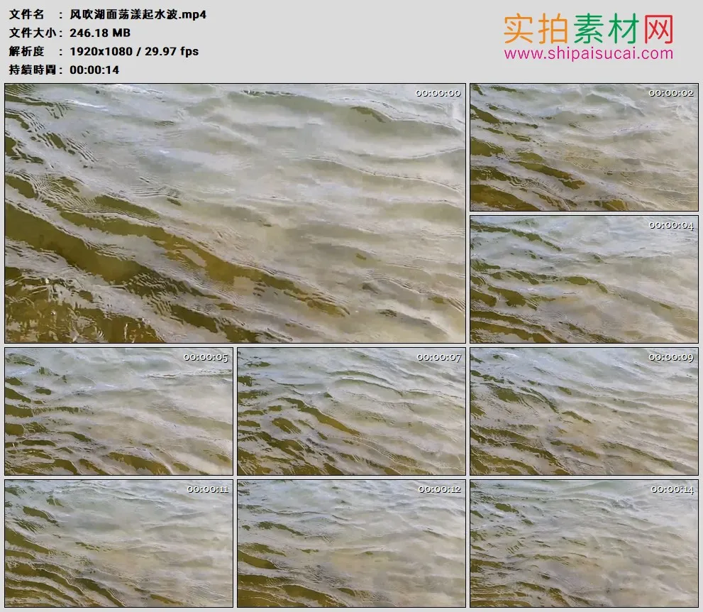 高清实拍视频素材丨风吹湖面荡漾起水波