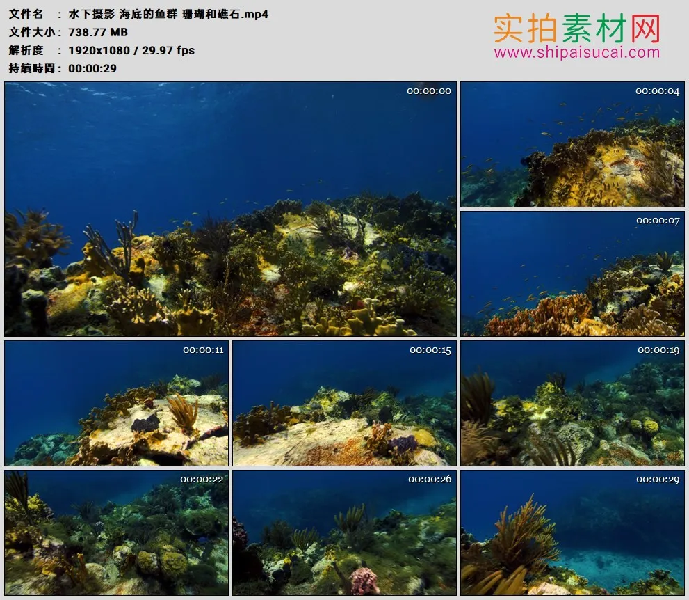 高清实拍视频素材丨水下摄影 海底的鱼群 珊瑚和礁石