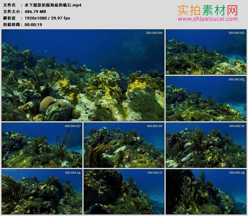 高清实拍视频素材丨水下摄影拍摄海底的礁石