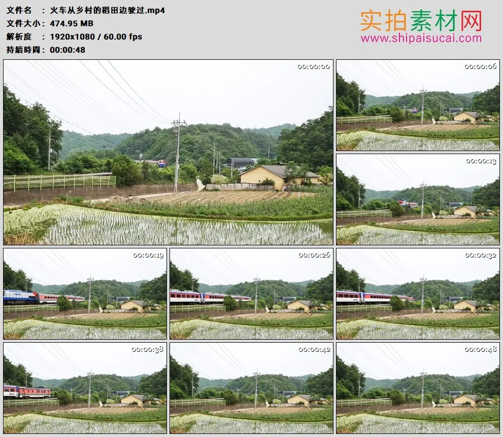 高清实拍视频素材丨火车从乡村的稻田边驶过