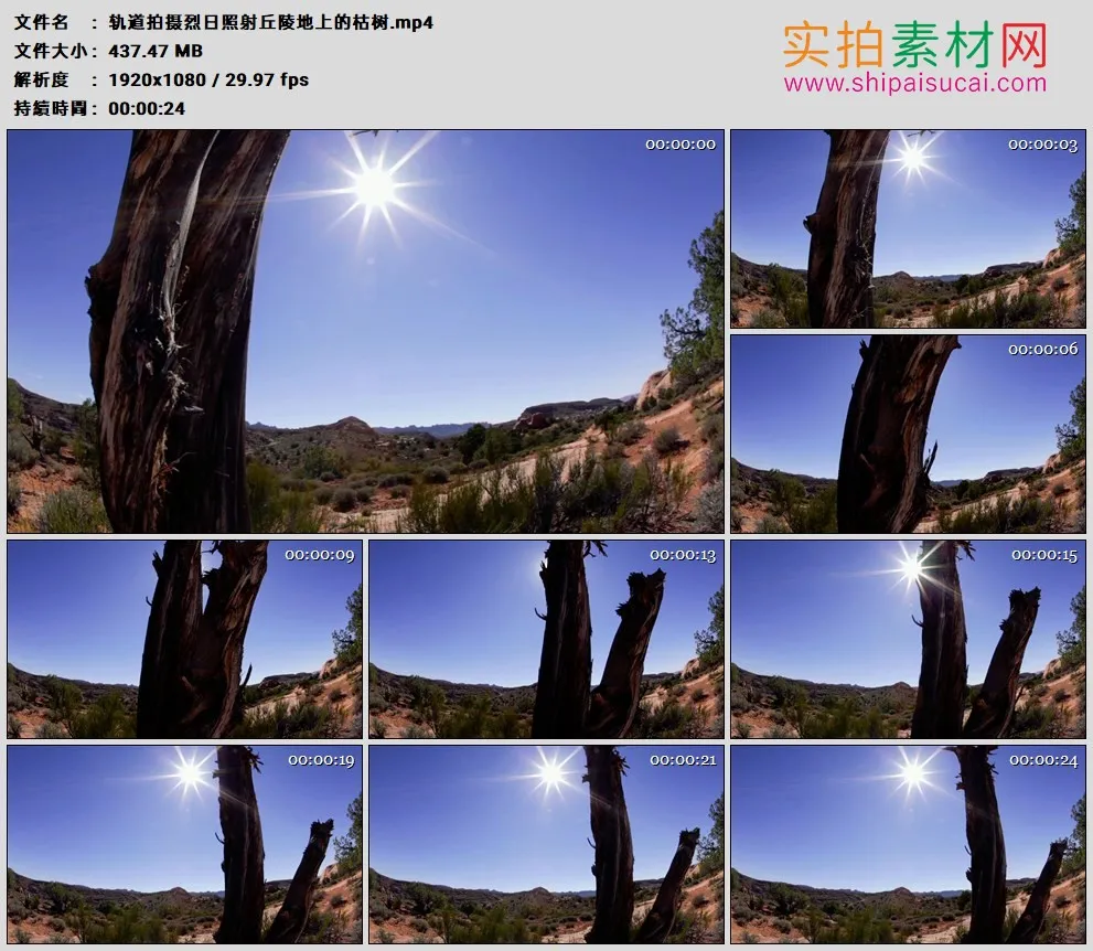 高清实拍视频素材丨轨道拍摄烈日照射丘陵地上的枯树