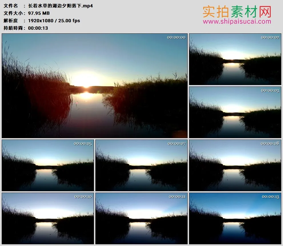 高清实拍视频素材丨长着水草的湖边夕阳落下