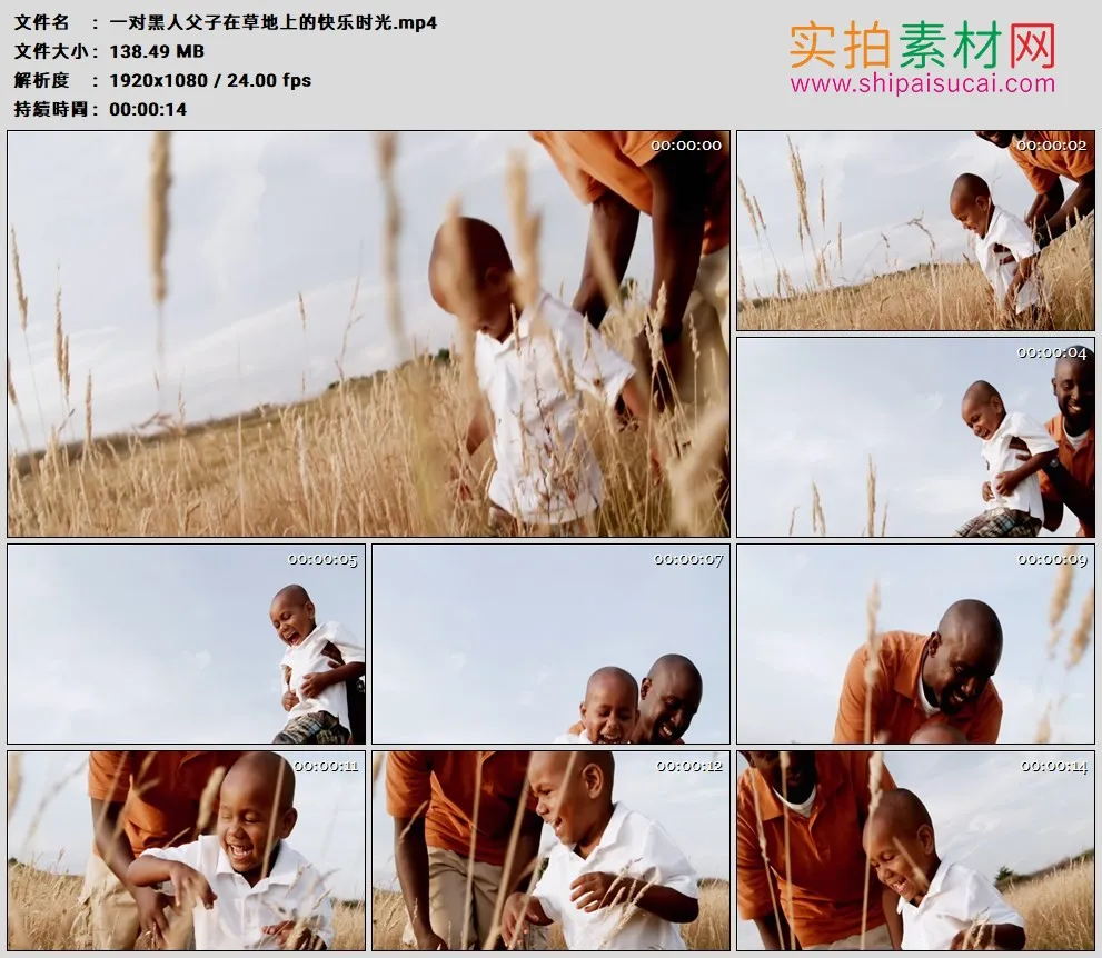 高清实拍视频素材丨一对黑人父子在草地上的快乐时光