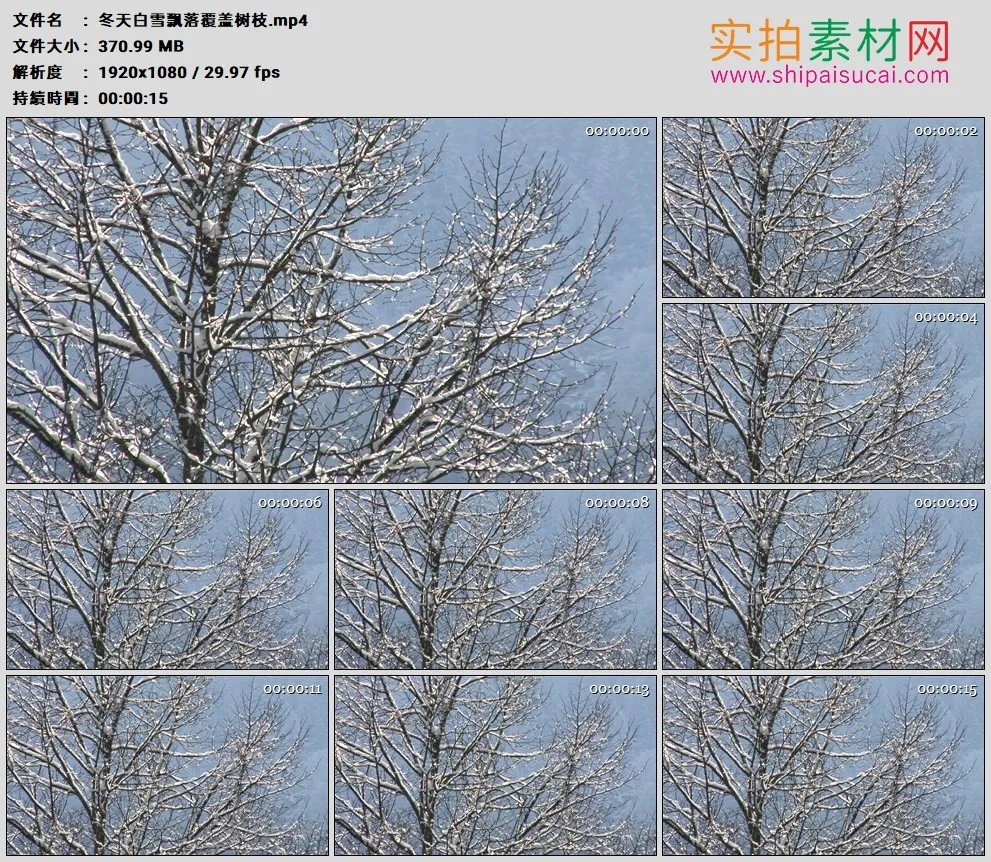 高清实拍视频素材丨冬天白雪飘落覆盖树枝