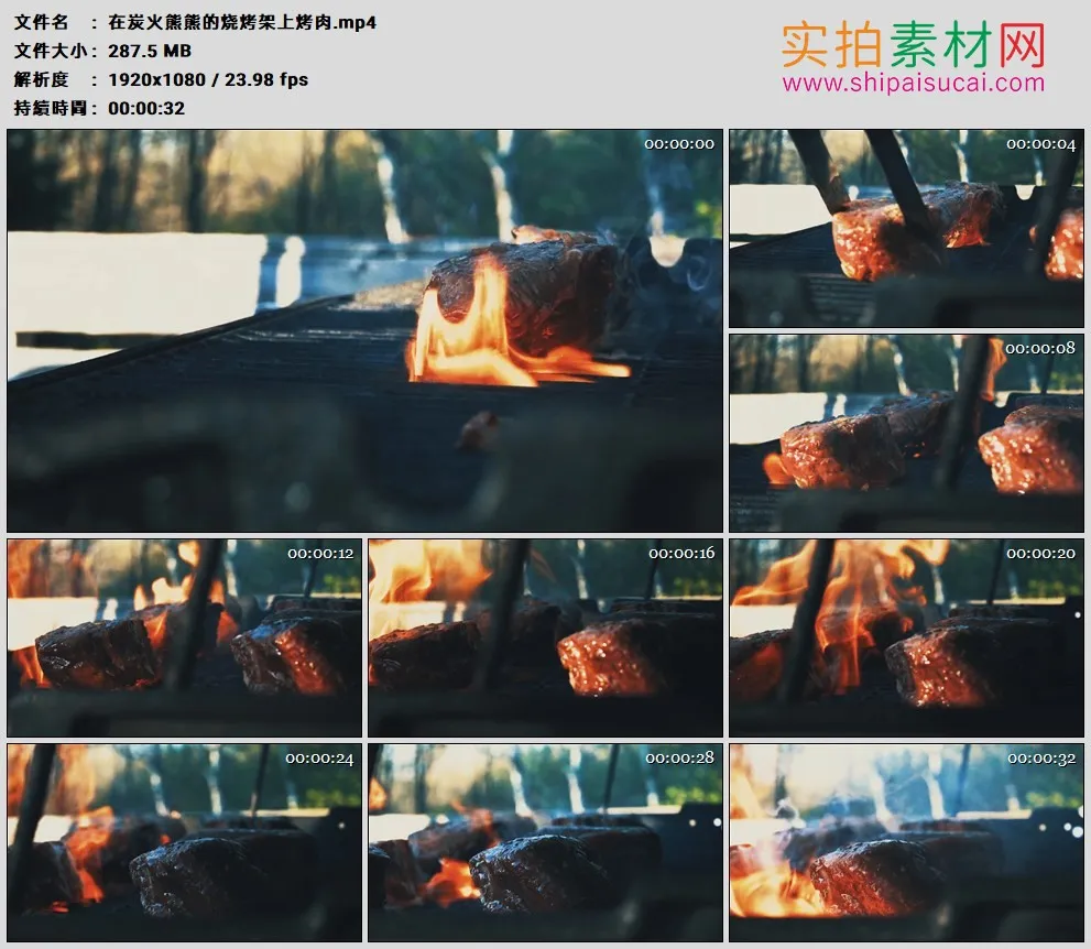 高清实拍视频素材丨在炭火熊熊的烧烤架上烤肉