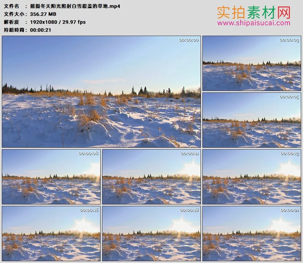 高清实拍视频素材丨摇摄冬天阳光照射白雪覆盖的草地