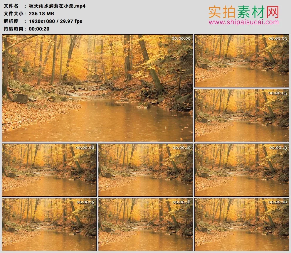 高清实拍视频素材丨秋天雨水滴落在小溪