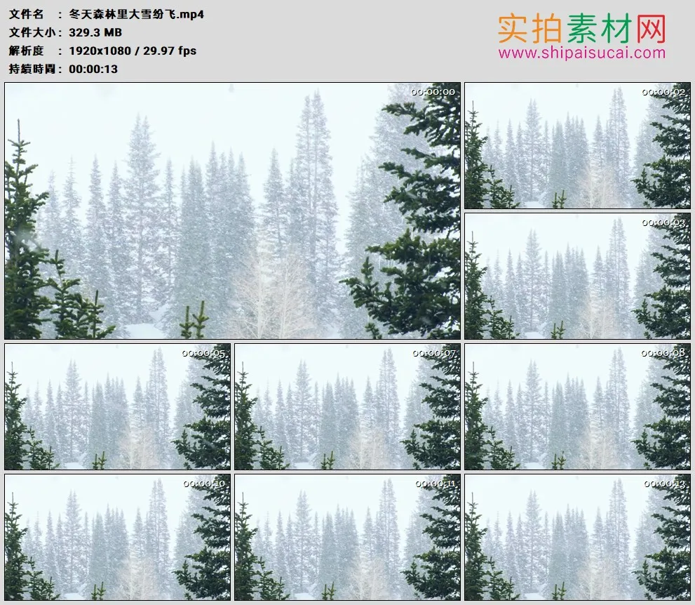 高清实拍视频素材丨冬天森林里大雪纷飞