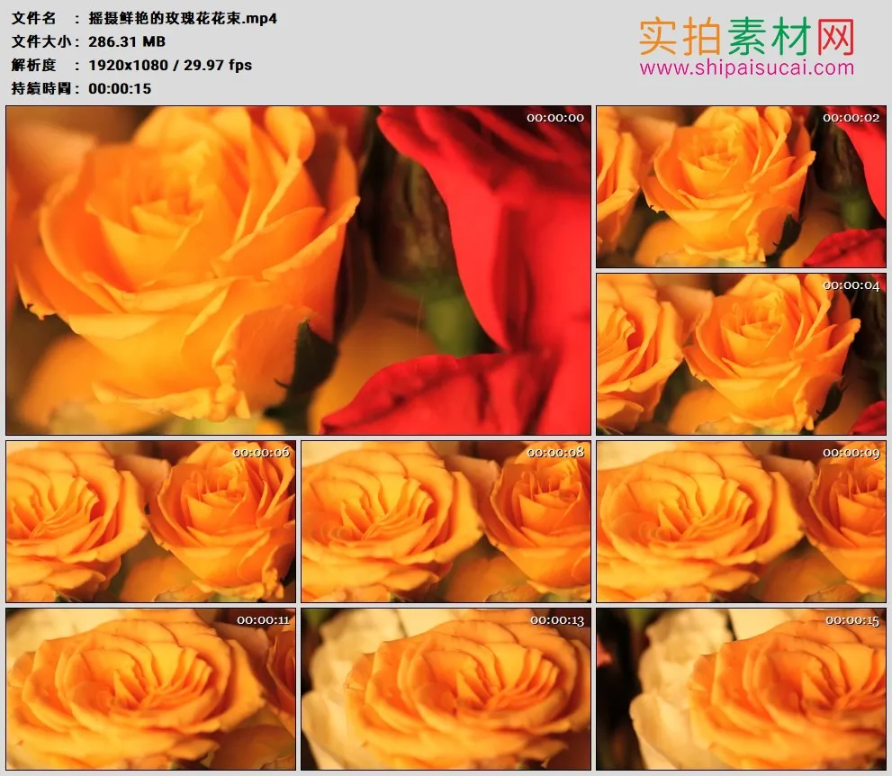 高清实拍视频素材丨摇摄鲜艳的玫瑰花花束