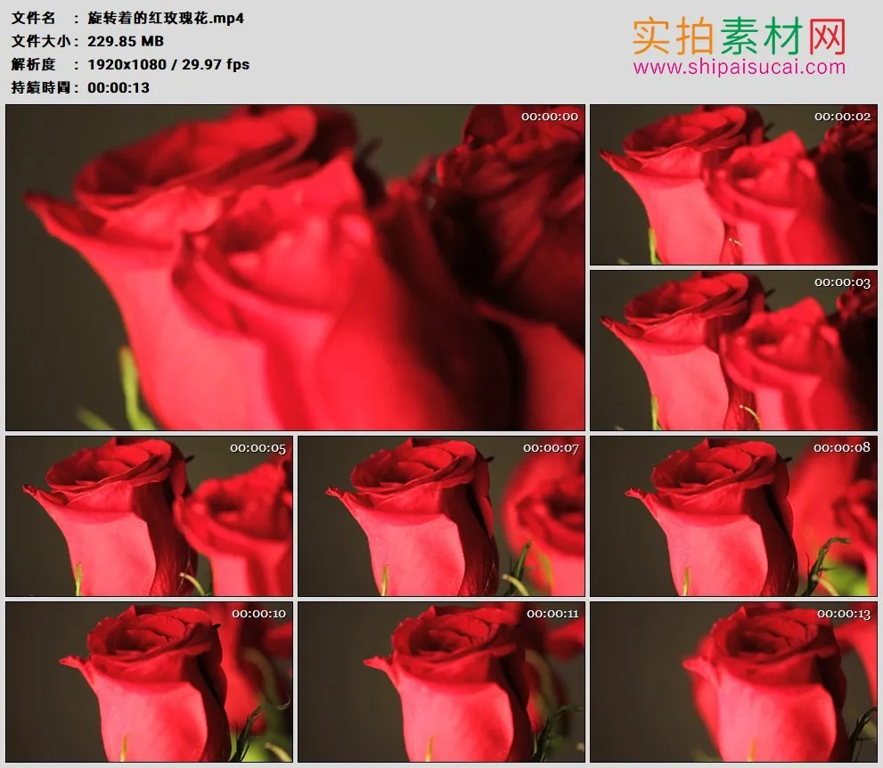 高清实拍视频素材丨旋转着的红玫瑰花