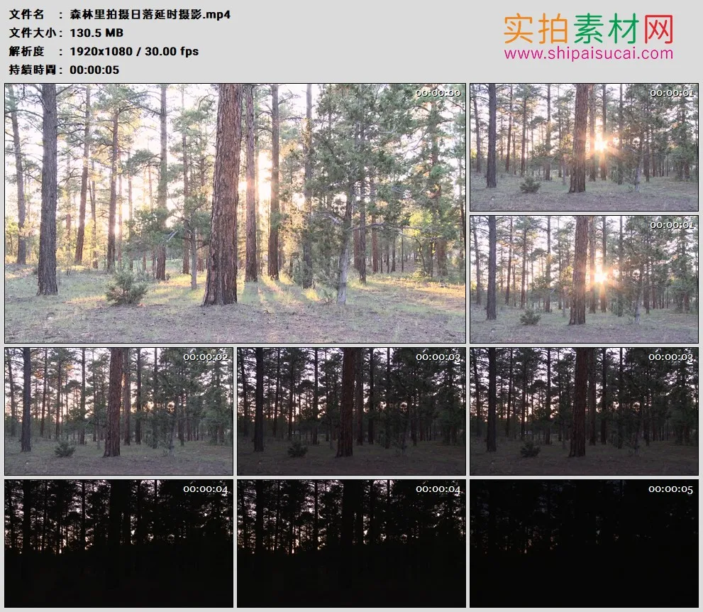 高清实拍视频素材丨森林里拍摄日落延时摄影
