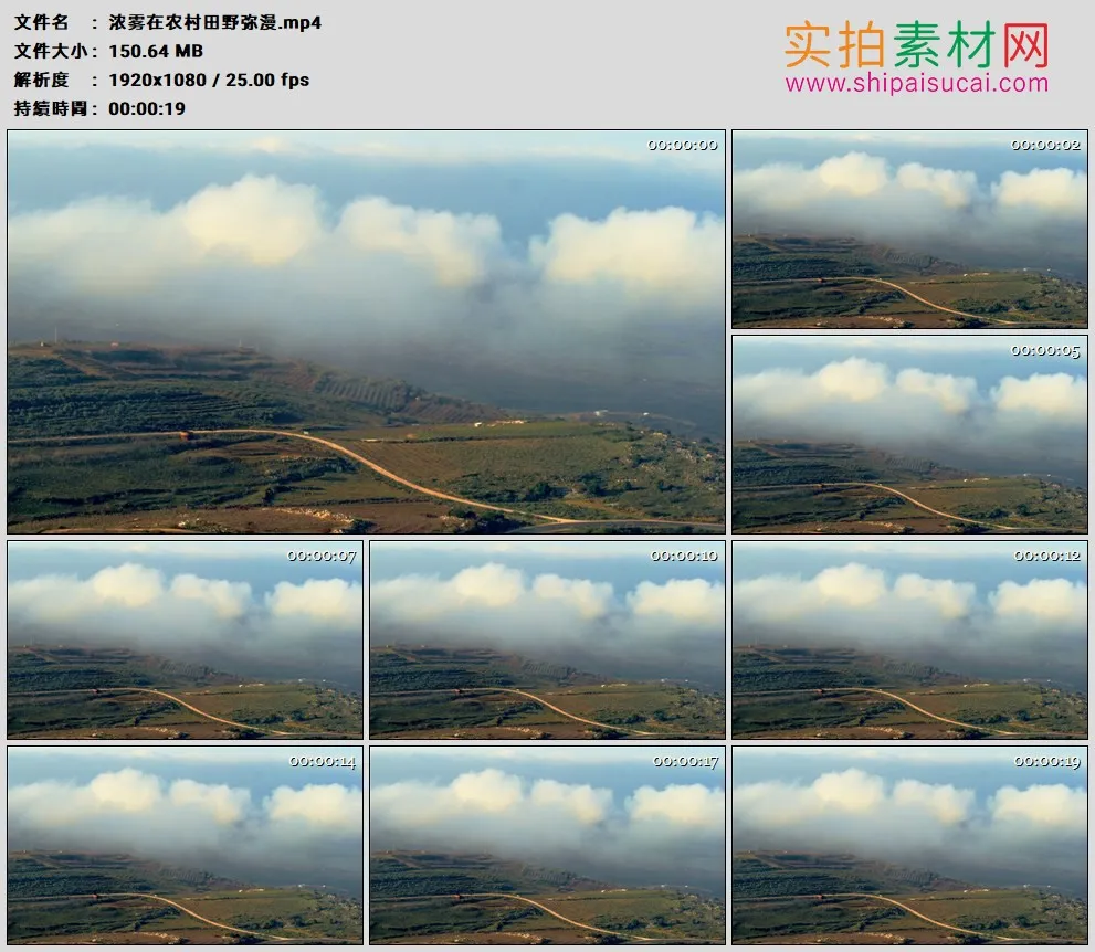 高清实拍视频素材丨浓雾在农村田野弥漫
