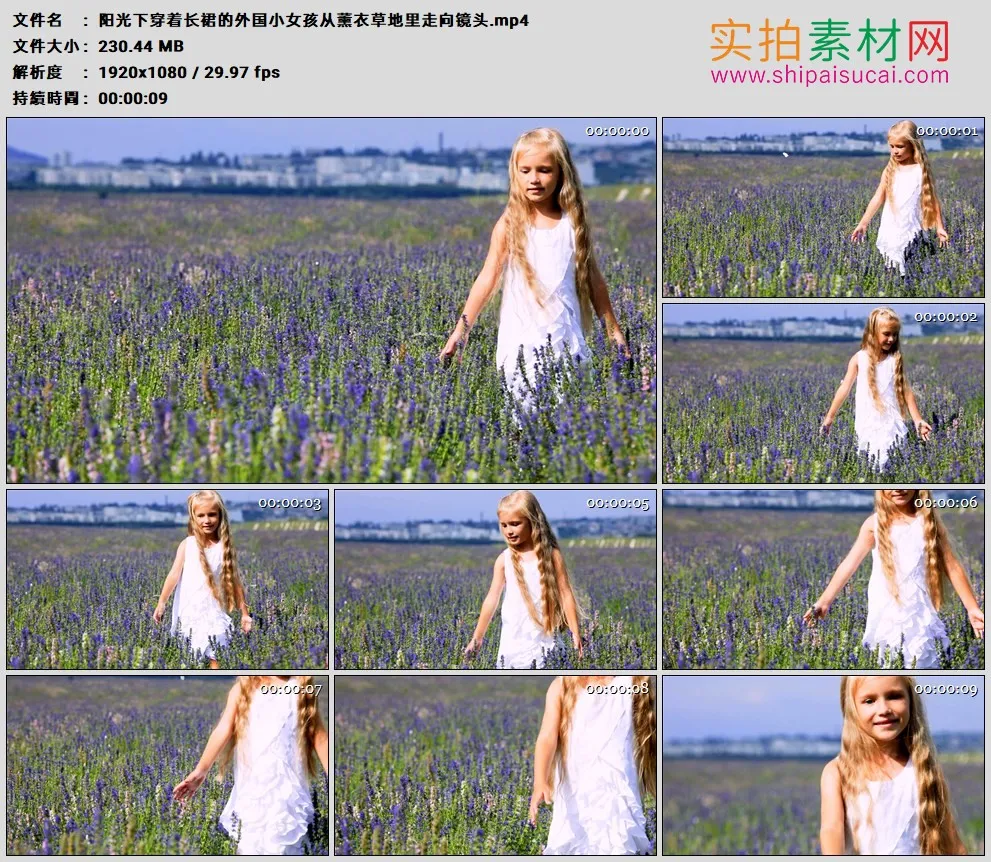高清实拍视频素材丨阳光下穿着长裙的外国小女孩从薰衣草地里走向镜头