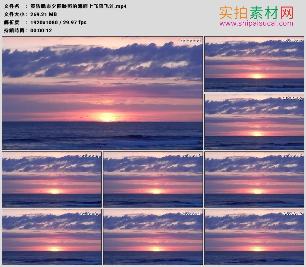 高清实拍视频素材丨黄昏晚霞夕阳映照的海面上飞鸟飞过
