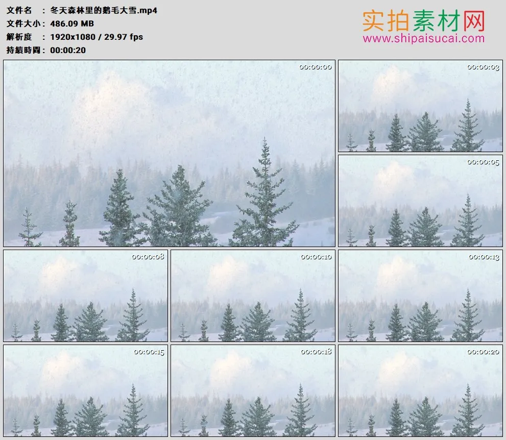高清实拍视频素材丨冬天森林里的鹅毛大雪