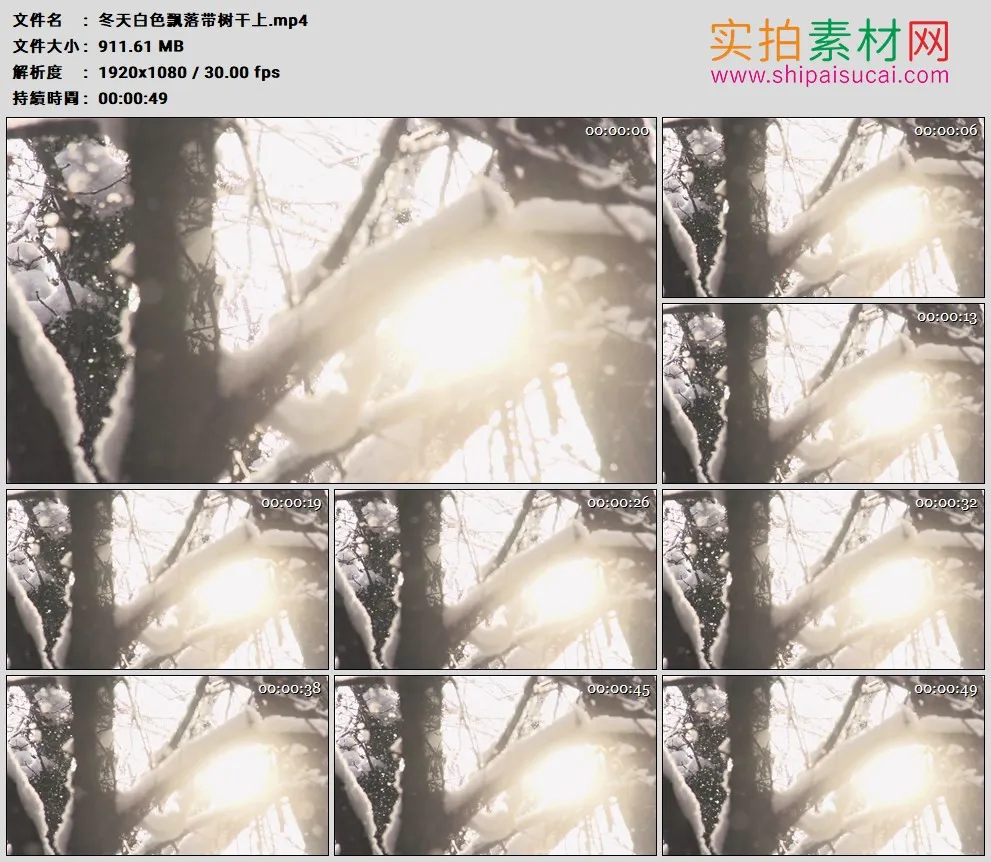 高清实拍视频素材丨冬天白雪飘落到树干上