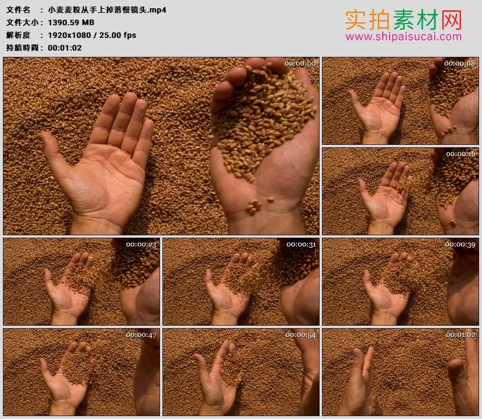 高清实拍视频素材丨小麦麦粒从手上掉落慢镜头