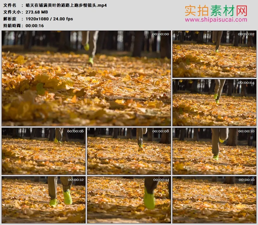 高清实拍视频素材丨晴天在铺满黄叶的道路上跑步慢镜头