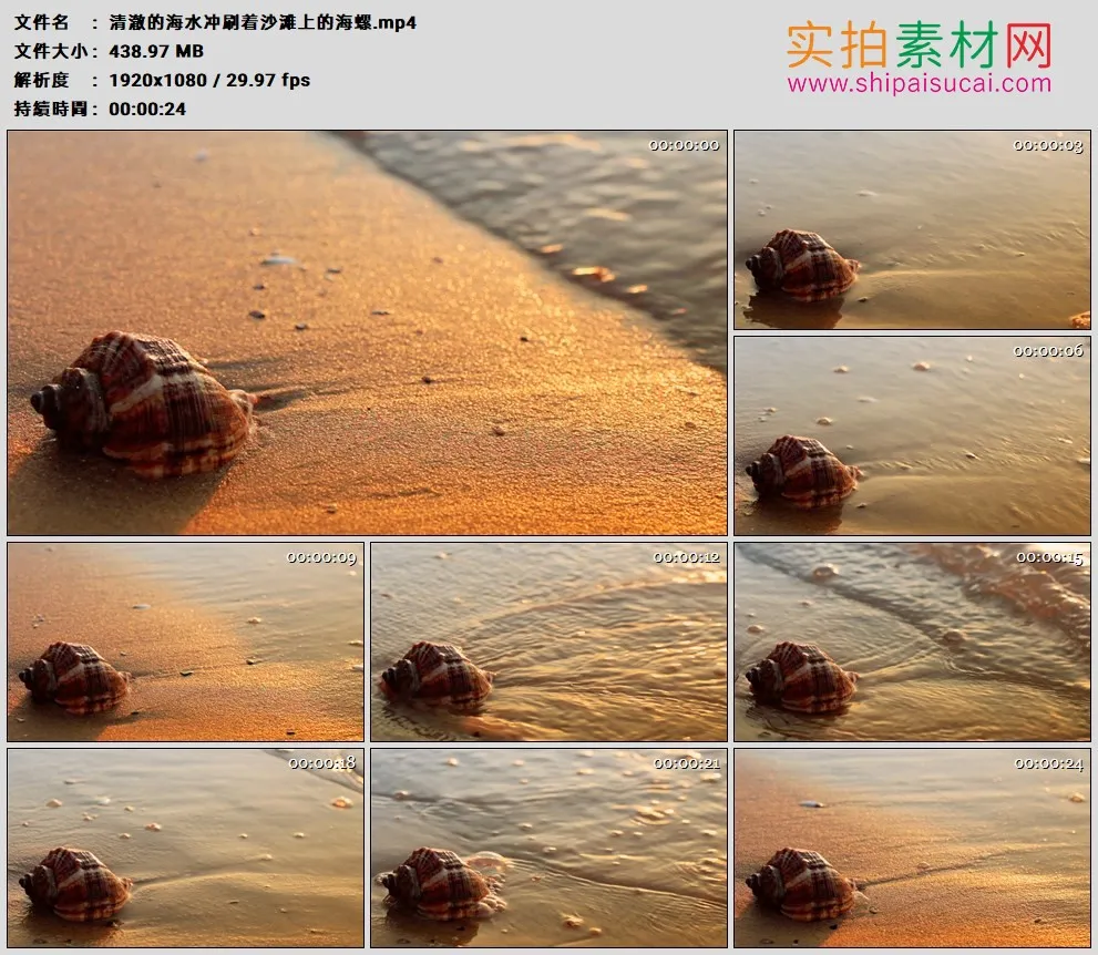 高清实拍视频素材丨清澈的海水冲刷着沙滩上的海螺