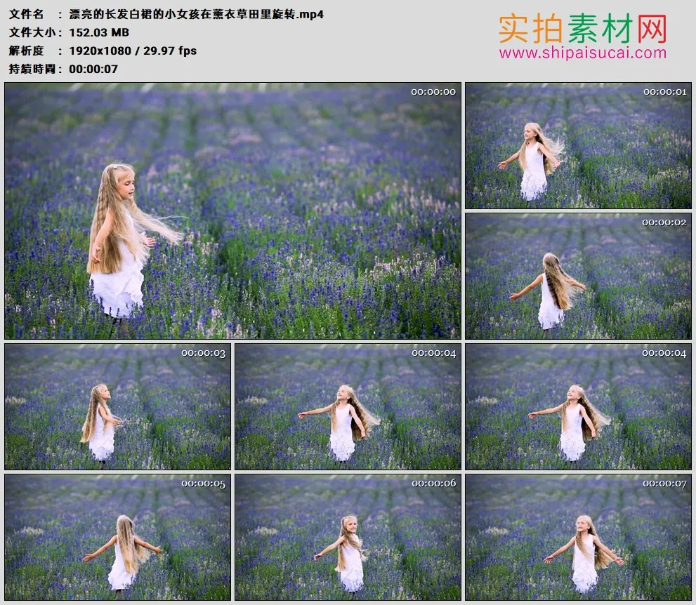 高清实拍视频素材丨漂亮的长发白裙的小女孩在薰衣草田里旋转
