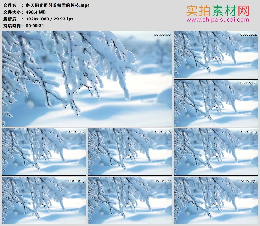高清实拍视频素材丨冬天阳光照射着积雪的树枝