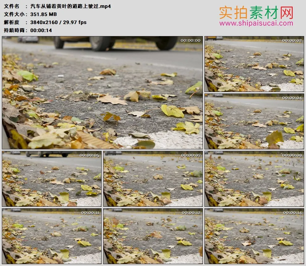 4K高清实拍视频素材丨汽车从铺着黄叶的道路上驶过