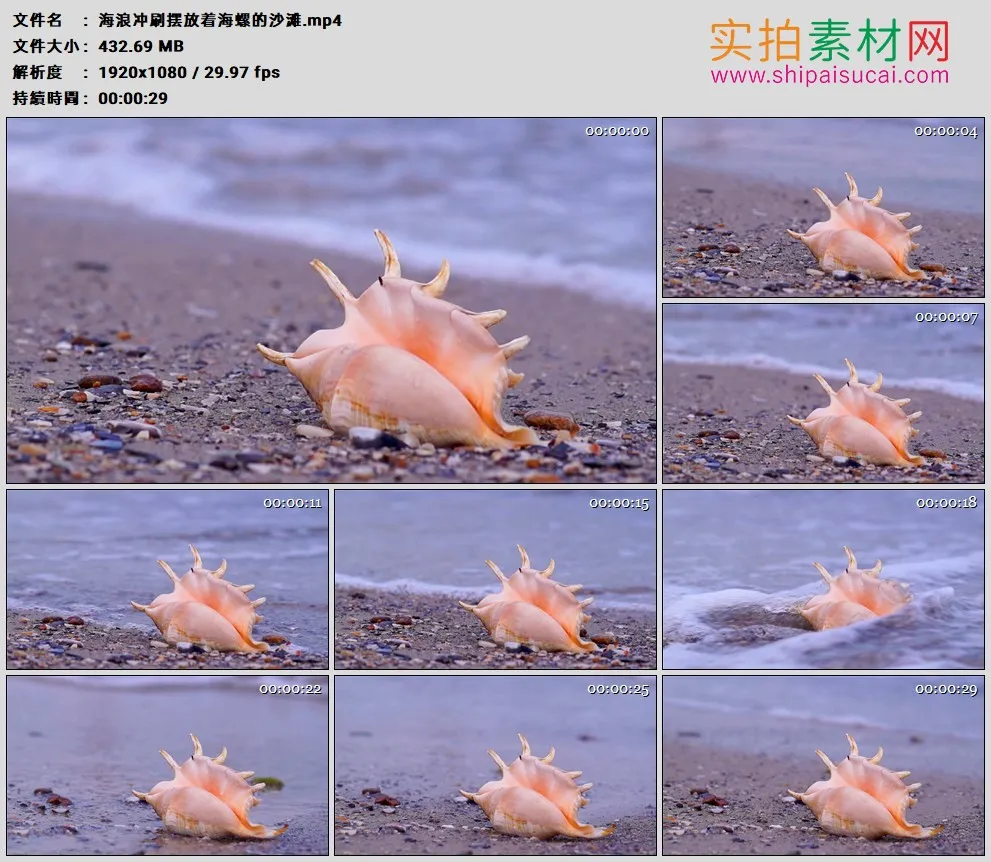 高清实拍视频素材丨海浪冲刷摆放着海螺的沙滩