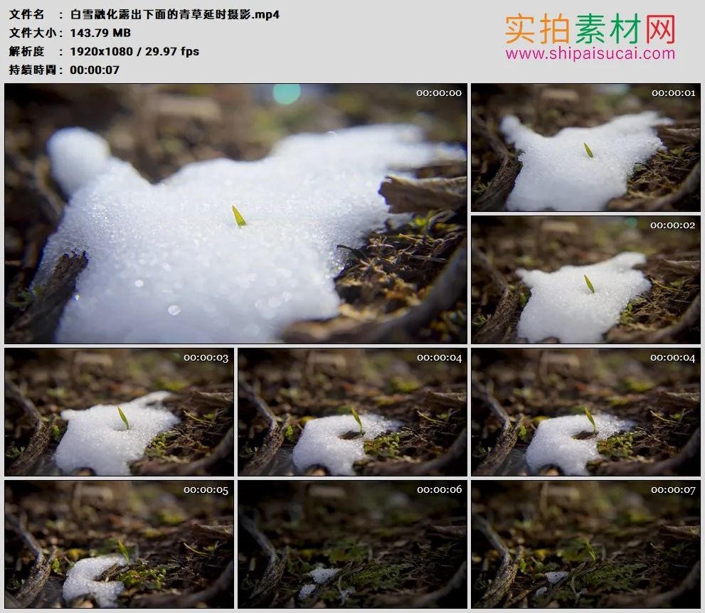 高清实拍视频素材丨白雪融化露出下面的青草延时摄影