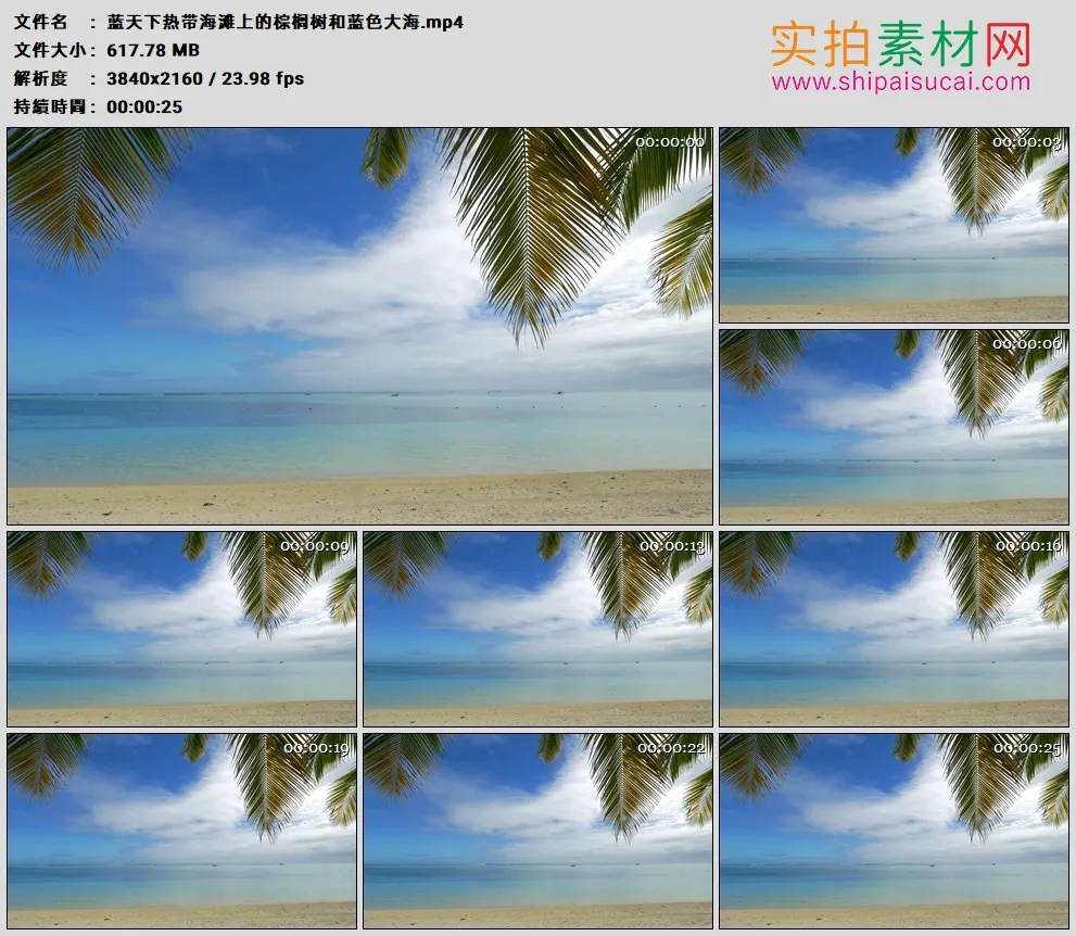 4K高清实拍视频素材丨蓝天下热带海滩上的棕榈树和蓝色大海