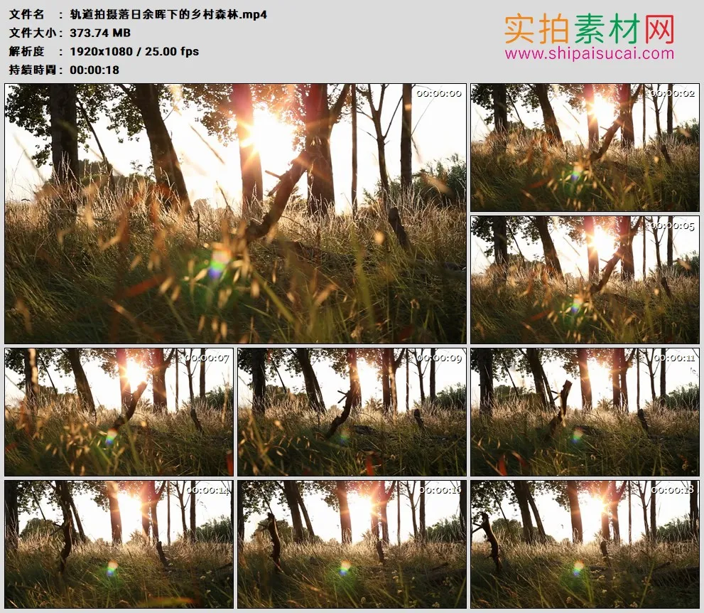 高清实拍视频素材丨轨道拍摄落日余晖下的乡村森林