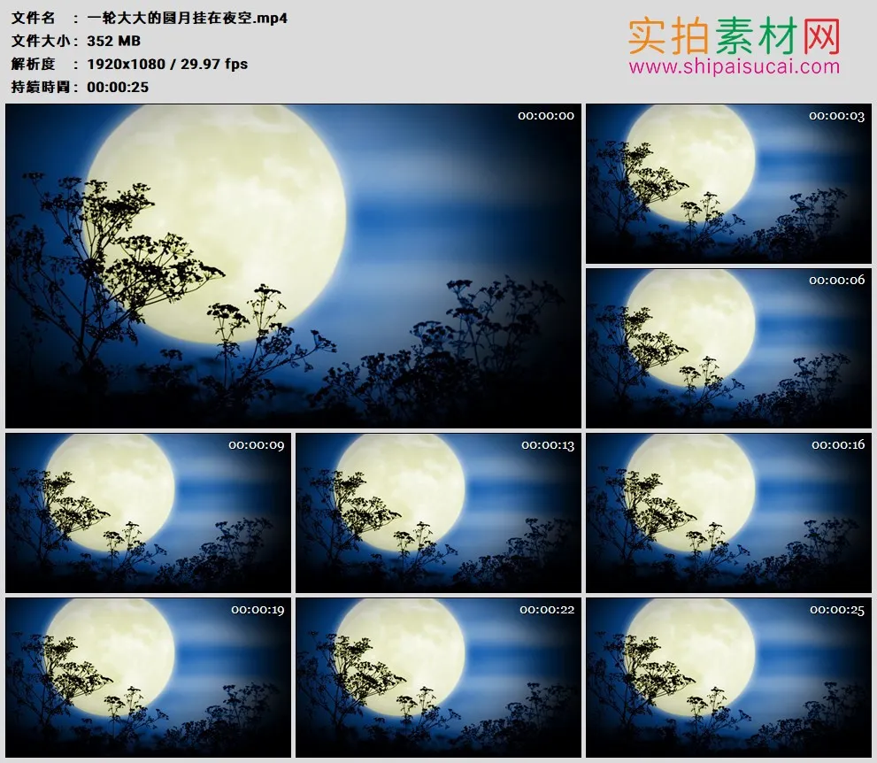 高清实拍视频素材丨一轮大大的圆月挂在夜空
