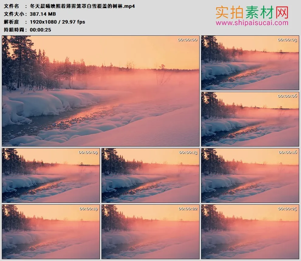 高清实拍视频素材丨冬天晨曦映照着薄雾笼罩白雪覆盖的树林