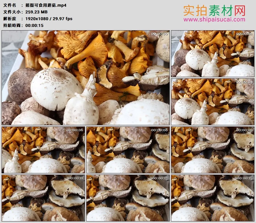 高清实拍视频素材丨摇摄可食用蘑菇
