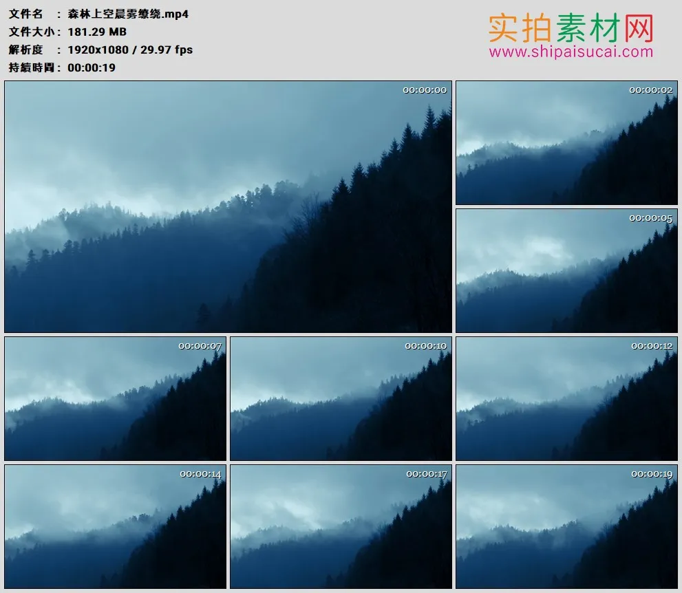 高清实拍视频素材丨森林上空晨雾缭绕