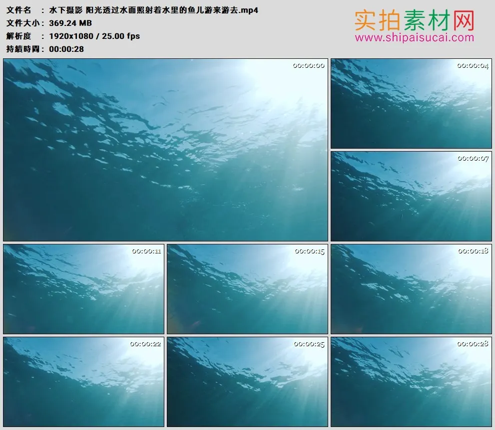 高清实拍视频素材丨水下摄影 阳光透过水面照射着水里的鱼儿游来游去