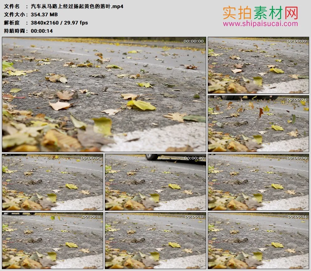 4K高清实拍视频素材丨汽车从马路上经过扬起黄色的落叶
