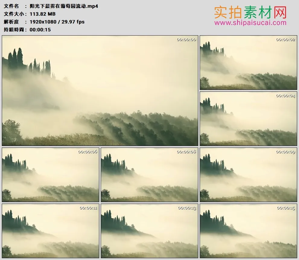 高清实拍视频素材丨阳光下晨雾在葡萄园流动