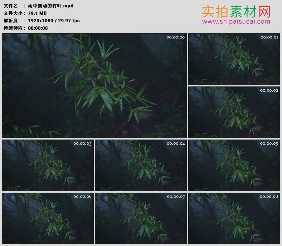 高清实拍视频素材丨雨中摆动的竹叶 雨打竹叶