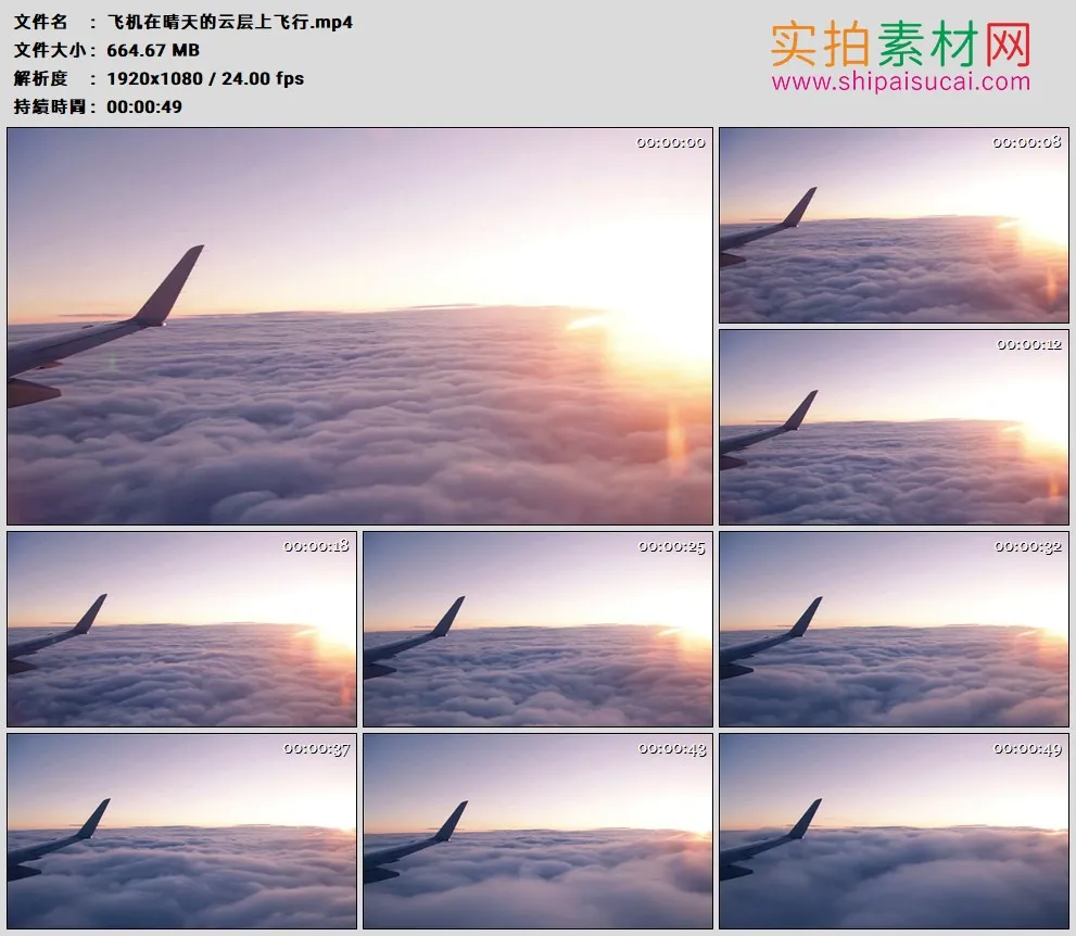 高清实拍视频素材丨飞机在晴天的云层上飞行