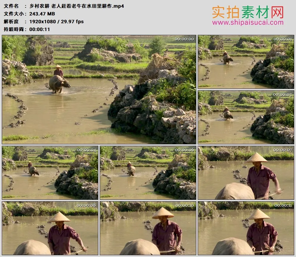 高清实拍视频素材丨乡村农耕 老人赶着老水牛在水田里耕作