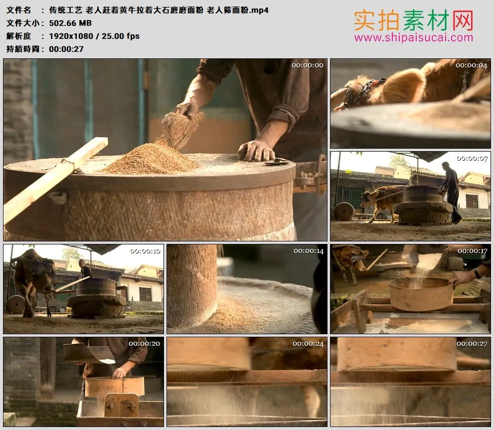 高清实拍视频素材丨传统工艺 老人赶着黄牛拉着大石磨磨面粉 老人筛面粉